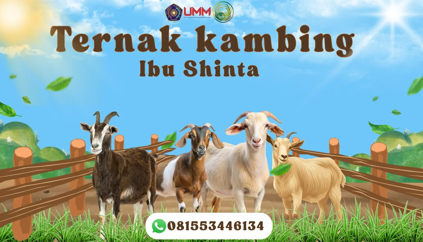 Ternak Kambing